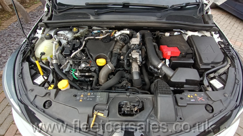 Clio Iconic Service Records (3)